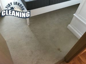 domestic cleaning london